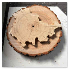 Fräsung in Baumscheibe